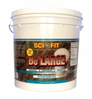  SCIFIT Be Large 4544 грамм