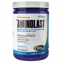 Gaspari Nutrition Aminolast 14 грамм